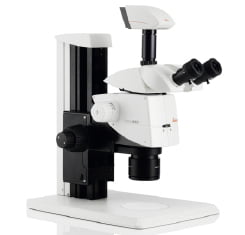 Research Stereo Microscopes