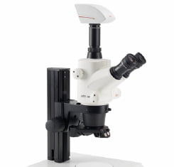 Standard Stereo Microscopes